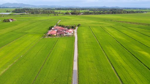 An aerial view of a vast agricultural field under a bright sunny day