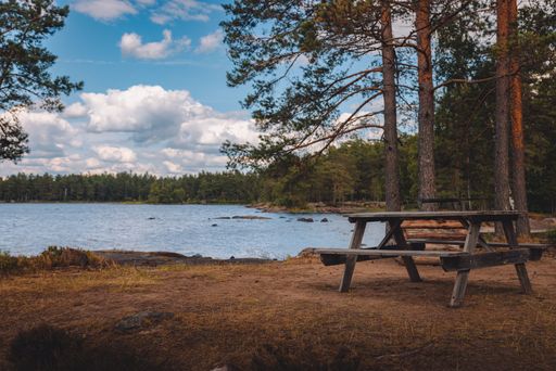 A scenic view of a wooden table and benches on a shore of a lake surrounded by pine forest in Sweden