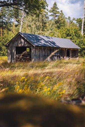 A vertical shot of an agricultural wooden barn in nature filled with wood branches on a sunny day
