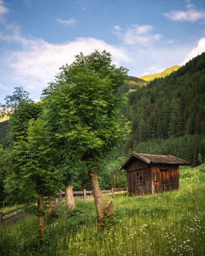 A vertical shot of a rural wooden house in a green field