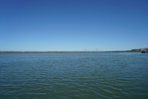 A cable-stayed bridge over the lake during the daytime