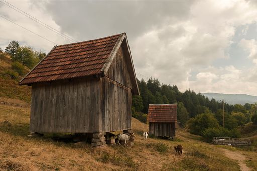 A wooden rural house in a green field under the cloudy sky