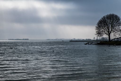 A single tree near the beautiful sea under the breathtaking cloudy sky