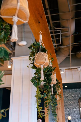 A beautiful shot of a modern interior of a cafe with hanging plants