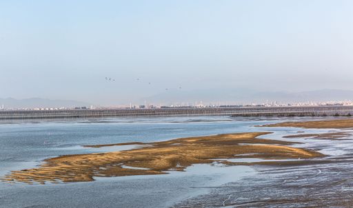 A beautiful view of muddy shore against a background of a city