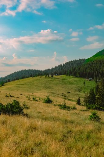 A vertical shot of hills covered in greenery under a blue cloudy sky in the countryside