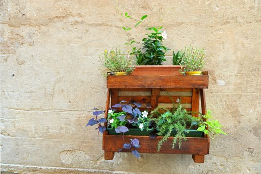 A closeup of flowers and aromatic plants arranged on a rustic wooden shelf hung on a wall
