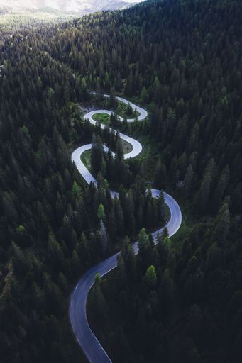 The photo shows a mountain road immersed in a forest in the middle of the dolomites