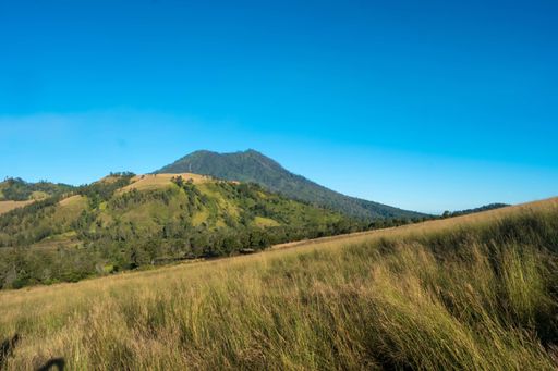 A sloping field with a view of mountain in the background