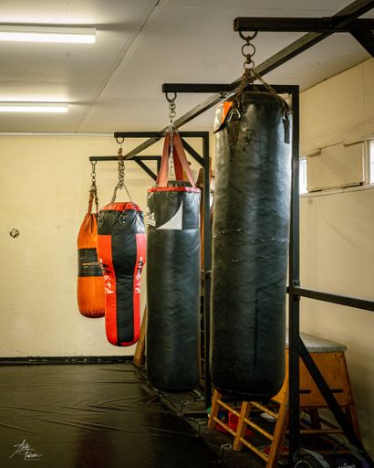 A vertical shot of a row of multi-sized punch bags in a boxing gym