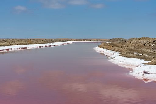 Namibia, panorama of the the salt marshes near Walvis Bay, pink lake