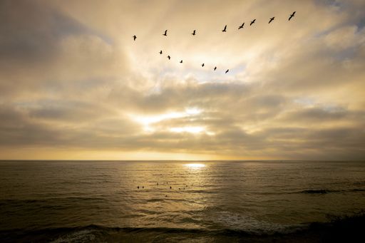 A silhouette view of a small flock of birds flying over the sea under cloudy dusk sky