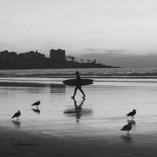 A silhouette of surfer and birds on beach in San Diego