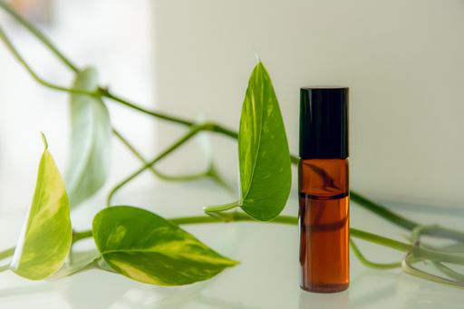 The essential oil in the glass bottle surrounded by a plant
