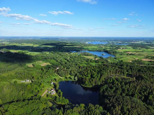 An aerial view of small lakes surrounded by trees on a sunny day