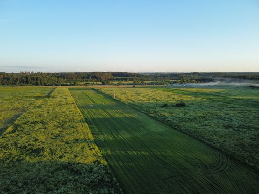 An aerial view of lush green fields in Lithuania at sunset