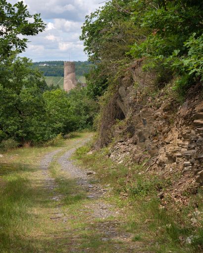 A hiking trail Moselsteig leading to the ruins of Bernkastel castle, Germany