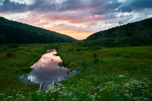A body of water in a green field in the beautiful Monongahela National Forest during a scenic sunset