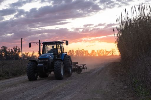 A tractor passing on unpaved land between wild grass at sunset otange time