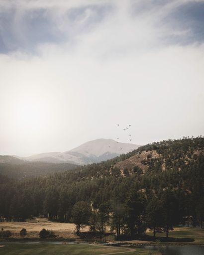 A vertical shot of mountains with evergreen trees under the misty sky with a flock of birds, Mexico