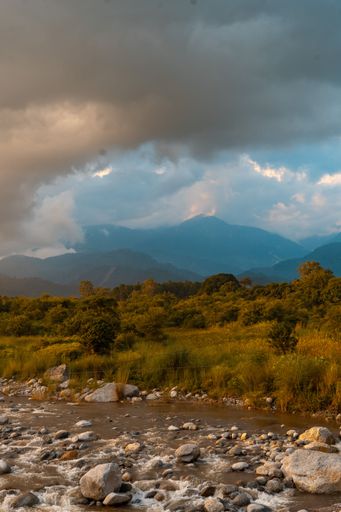 A vertical shot of small river flowing green mountain field under cloudy sky. Himachal Pradesh, India