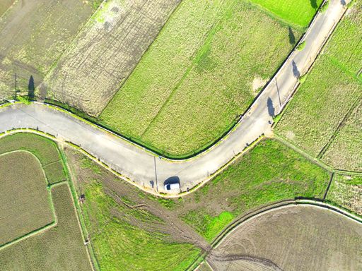 An aerial view of rice fields with a road running through them in Ambarawa, Indonesia
