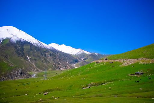 A scenic Himalayan landscape with a green slope against the background of a bright blue sky.