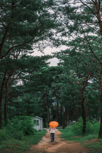 A vertical shot of a young man walking in the forest in South Korea