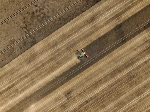 An aerial shot of a truck harvesting cereal from fields during the day