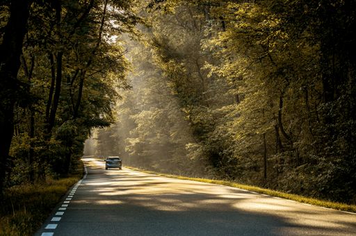 a passenger car on an asphalt road in the morning fog goes through the forest