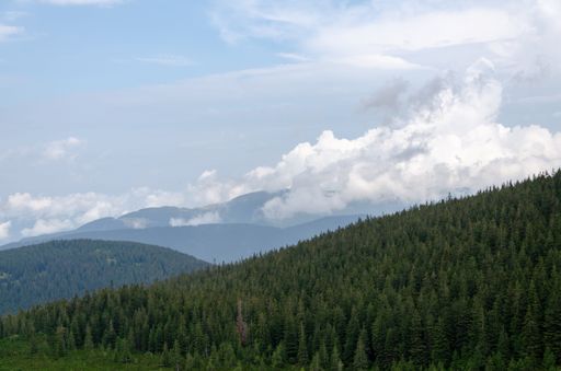 The cloudy sky over the hills with green dense forest in spring