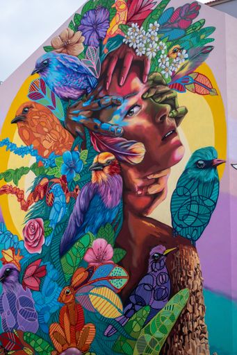 Graffiti Mural Artwork on a Building side in Lisbon, Portugal