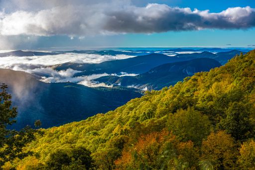 early morning autumn foggy photo at blue ridge parkway north carolina