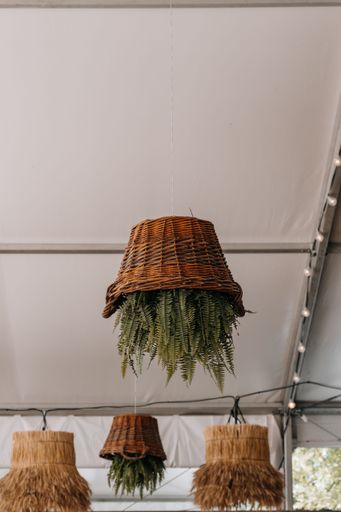 A vertical shot of an upside down hanging potted plant as decoration