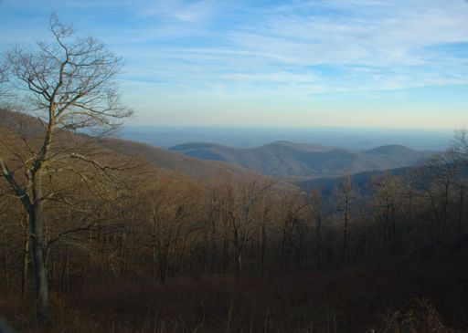A beautiful mountainous landscape with bushes in Virginia