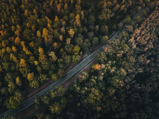 The drone shot of a country road through a forest on an autumn day