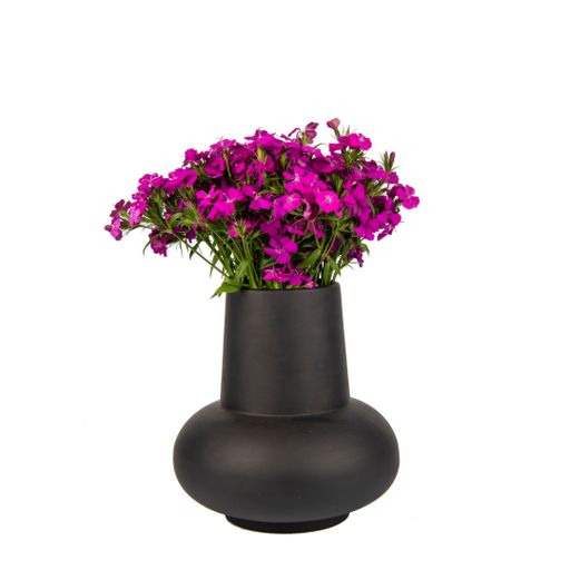 A black ceramic vase with violets on a white background - decoration for an interior