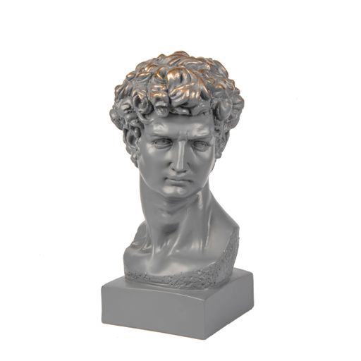 A gray bust of David of Michelangelo stone sculpture on a white background - interior decoration