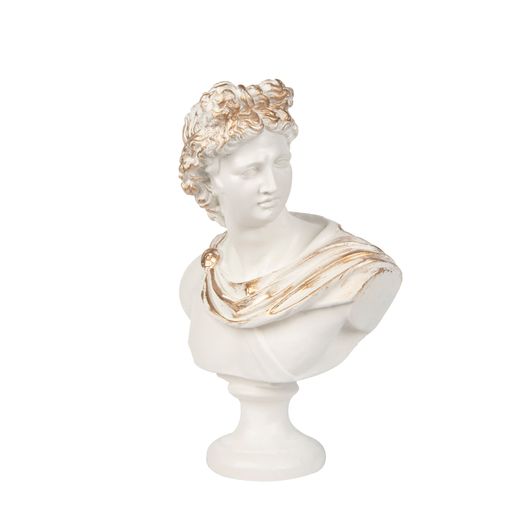 A white bust of Apollo Belvedere stone sculpture on a white background - interior decoration