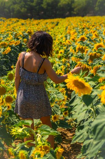 A vertical shot of a young lady posing in a sunflower field