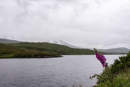 A beautiful scenery of a loch in Knockan Crag National Nature Reserve in the Northwest Highlands, Scotland
