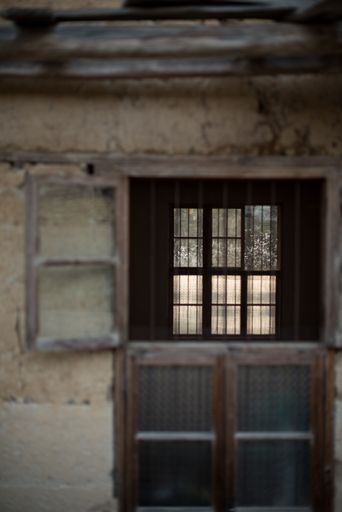 A beautiful shot of opened window of an old house with a view pf peach blossom flowers