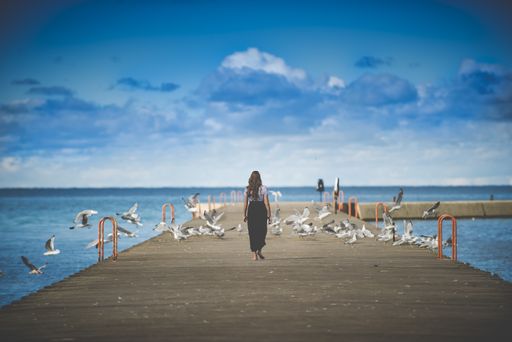 A female walking on a wooden pathway towards the seagulls with a blurred background