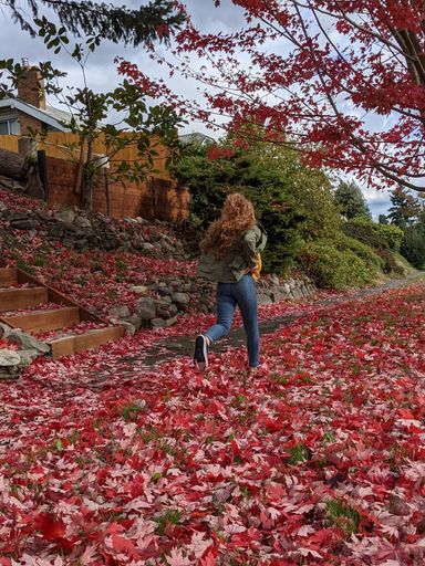 A vertical back view of a running young female in the fall red leaves in a beautiful park