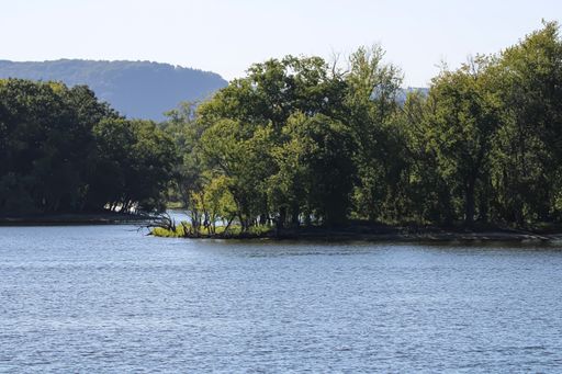 A scenic view of the black river surrounded by lush green forest on a sunny day