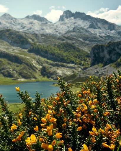 A vertical shot of a mountainous landscape on a sunny day