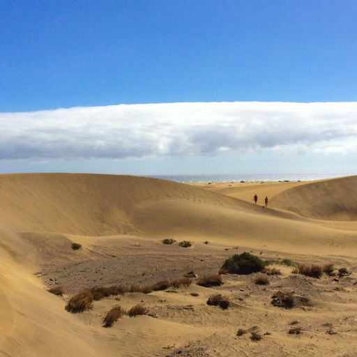 A beautiful scenery of sand dunes and bushes under a cloudy sky