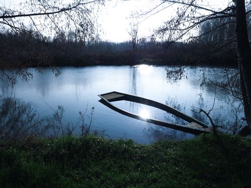 A beautiful shot of the sun reflecting in the lake surrounded by a forest under the clear sky