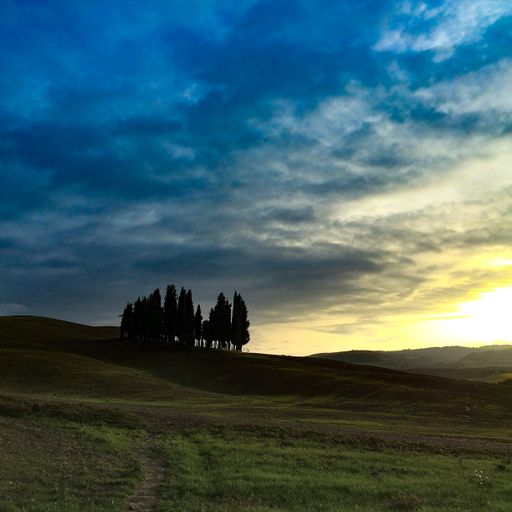 A scenery of trees on a hill in a field under the cloudy sky