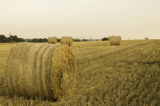 A beautiful shot of hay rolls in a dry grassland